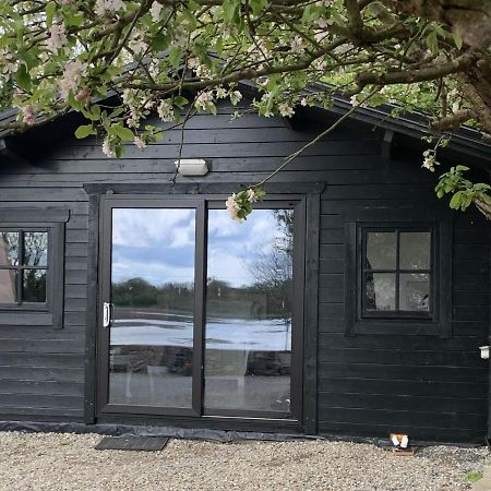 The Cosy Cabin By The Shore Голуэй Экстерьер фото